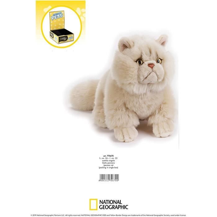 Peluche Chat Persan Ngs Venturelli Blanc Plush Int rieur