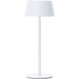 Lampe de table d'extérieur - BRILLIANT - PICCO - LED et solaire - Métal et plastique - 5 W - Blanc-3