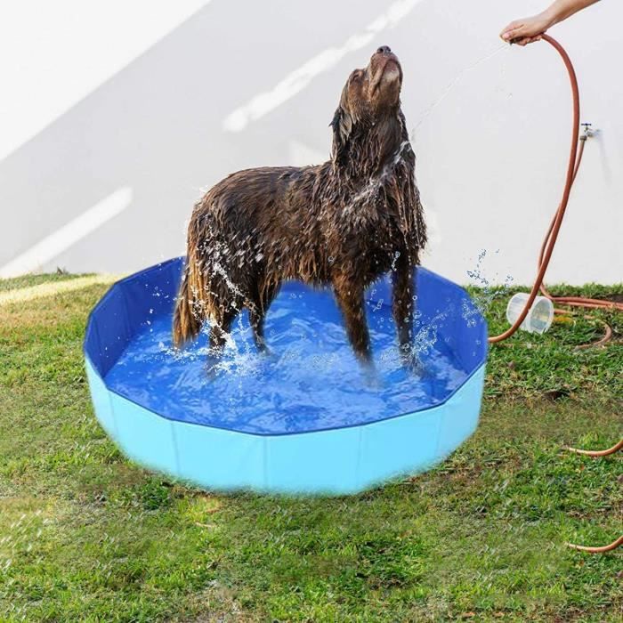 Baignoire pour grand chien