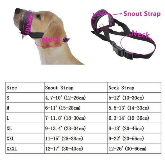 Hackamore Cuir Noir Réglable Sans Mors - PRO IRON GEAR - Équitation Anglaise/occidentale