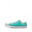 converse canvas