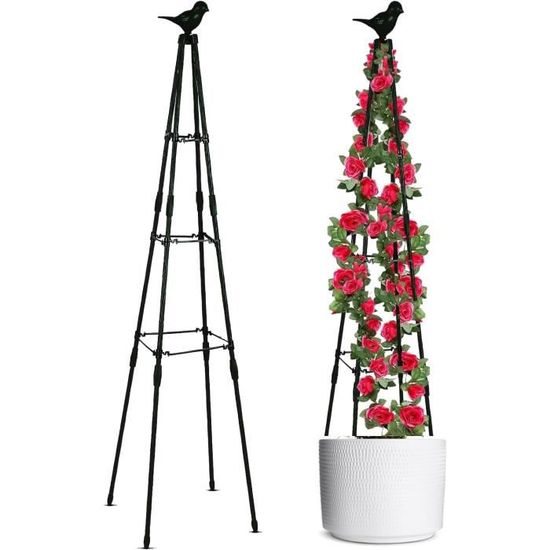 Obélisque De Jardin En Métal - Tuteur Pour Plantes Grimpantes, Support Tomates