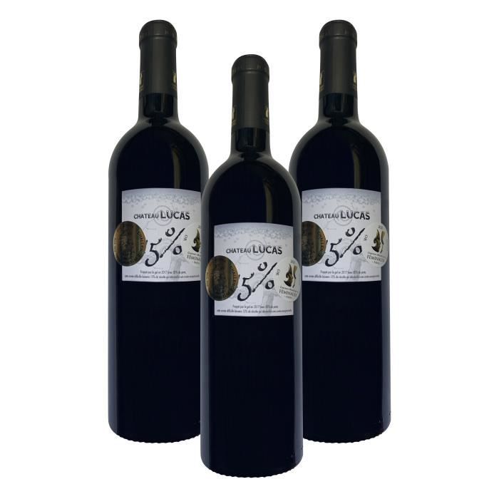 Château Lucas, AOC Lussac-Saint-Emilion 2017 – Grand Vin de bordeaux Rougedouble Médaille Or -Guide Hachette des Vins-3 bouteilles