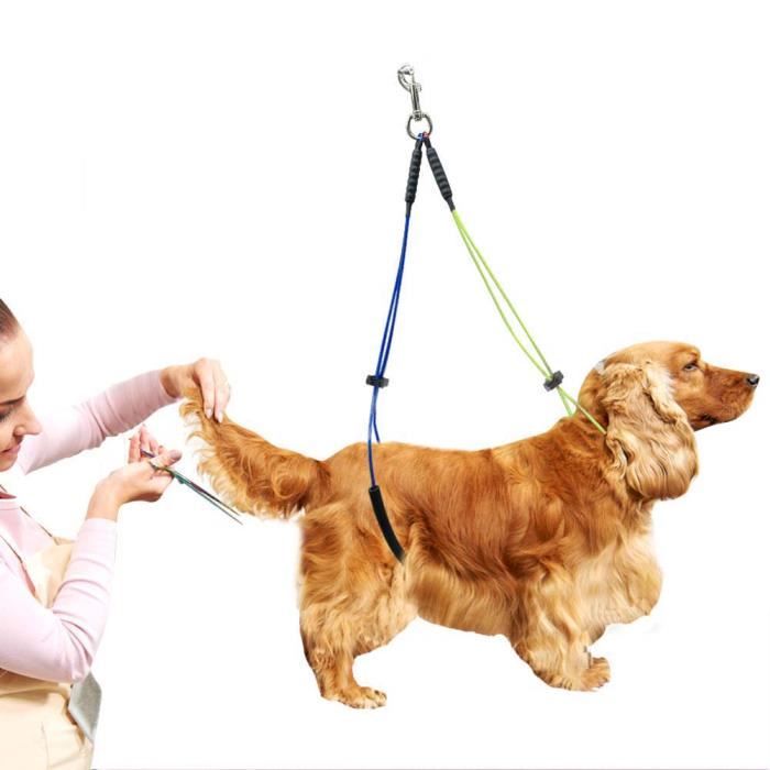 Tbest harnais de toilettage pour animaux de compagnie Laisse réglable de toilettage pour animaux de compagnie pour table de