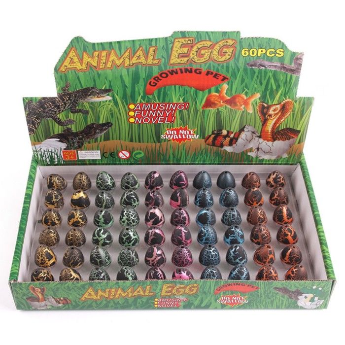 Oeuf Dinosaure 5 Jouets éclosion dans l'eau Oeuf surprise lot aleatoire