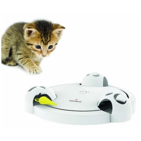 jeu interactif pour chat