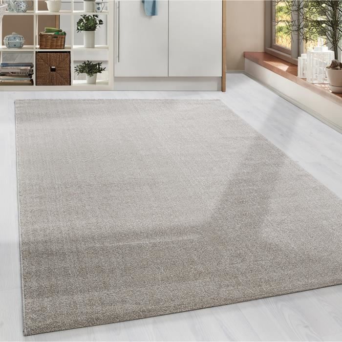 Grand Tapis Salon Poil Ras Tapis Moderne A Poil Court Uni Uni Gabbeh Optique Salon Beige