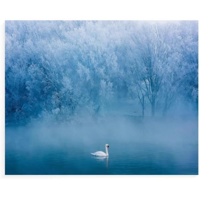 Diamond Painting Broderie Diamant Kit Complet Paysage Hiver Le Lac Des