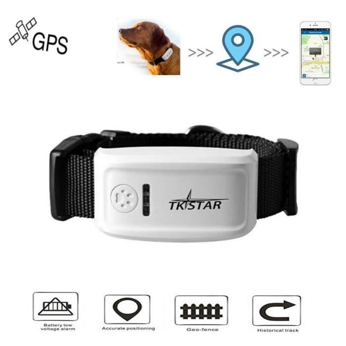 Traceur GPS temps réel pour animaux (chien et chat)