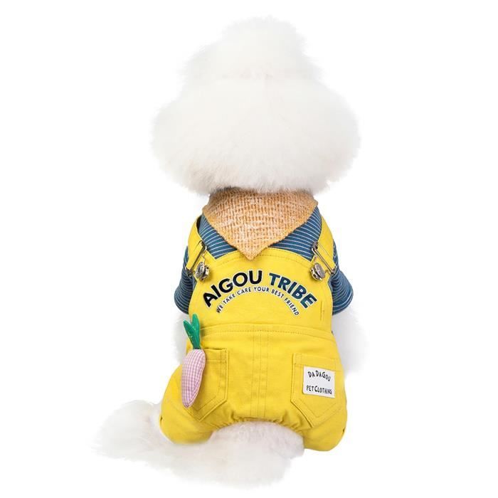 Nouveau manteau de décoration de radis pour animaux de compagnie 