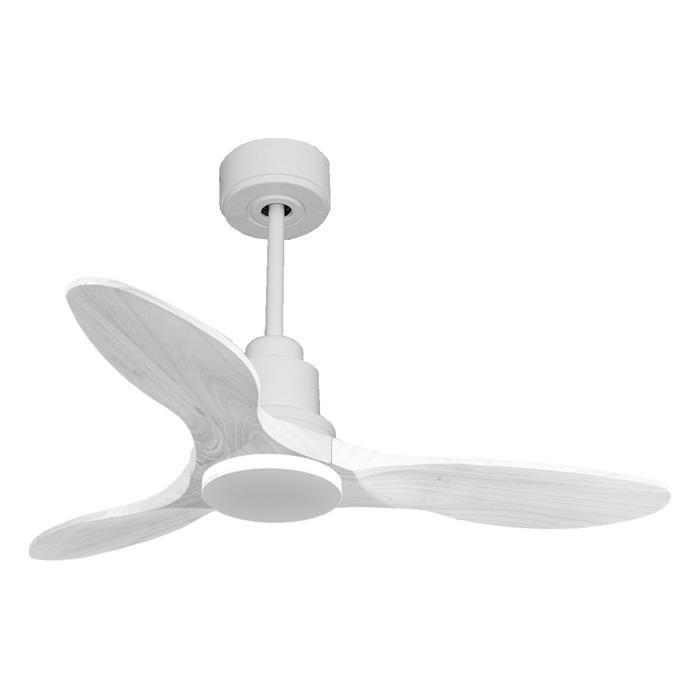 Ventilateur de plafond Réversible Thermostat Wifi Moteur à courant continu Toits en pente Télécomma - Klassfan