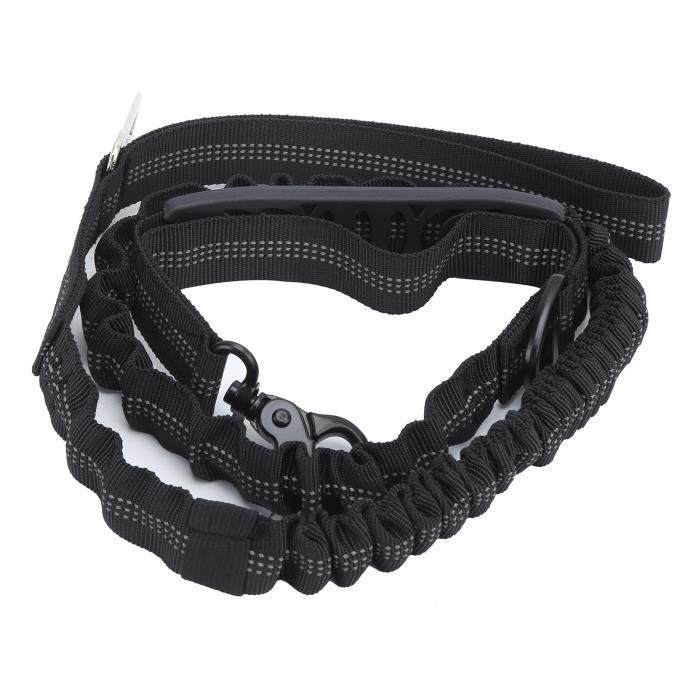 Meilleurs prix pour Laisse de dressage pour chien élastique robuste avec amortisseur