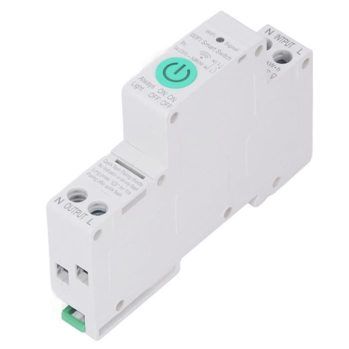 Prise Disjoncteur FI Portable 10 MA, 16A - Protection Contre Les Fuites De Courant, Pour Usage Intérieur/extérieur