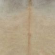 :)16121 GRAND Tapis de salon ECONOMIQUE - Tapis Intérieur Tapis de sol en peau de vache véritable 150 x 170 cm Beige-2