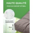 DILUMA Coussin pour palette Comfort Anthracite - Coussin dossier 60x40 cm - Intérieur & Extérieur - Euro Canape-2