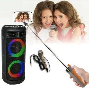 PACK SONO Enceinte Karaoke Mobile sur Batterie USB Bluetooth