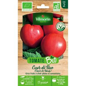 GRAINE - SEMENCE Tomate cuor di bue bio Vilmorin