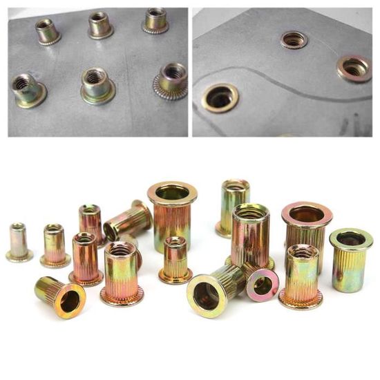 Omabeta Kit d'écrou de rivet en acier galvanisé Kit D'écrous à Rivets ...