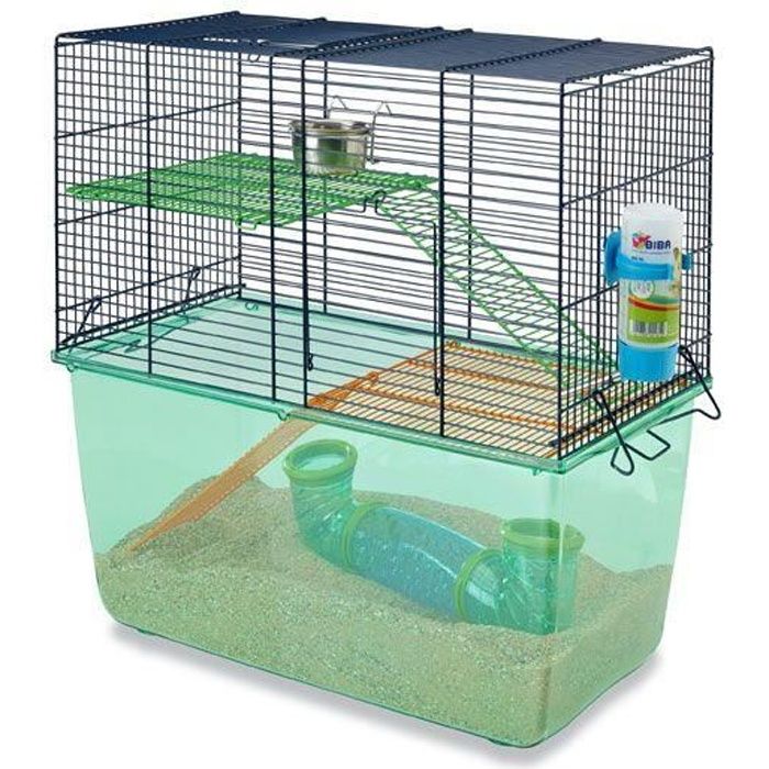Cage Gerbilles Habitat