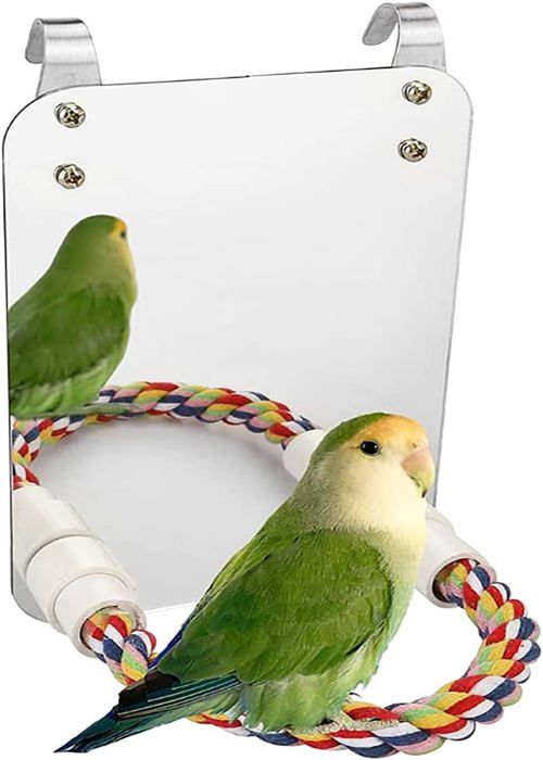 Meilleurs prix pour Miroir à oiseaux de 17,8 cm avec perchoir en corde pour cage perroquet, balançoire, jouets pour perroquet