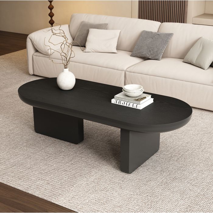 Table Basse Ovale En MDF Noir Table De Salon Minimaliste FloraGrace Pour Salon Et Sejour Facile A Entretenir 119 7x49 8x35 5cm