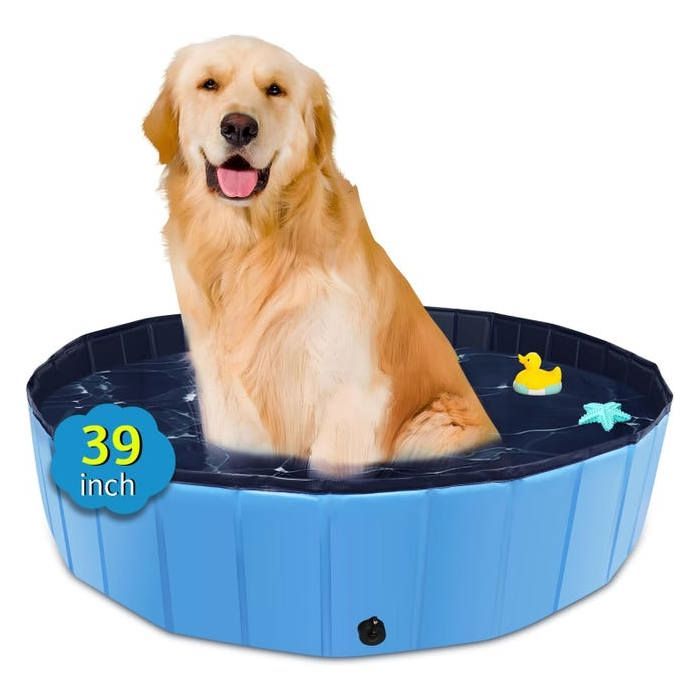 Piscine Pliable surdimensionnée en Plastique Dur Portable pour Chiens Chats et Enfants Animaux domestiques Chiot - 100 x 30 cm