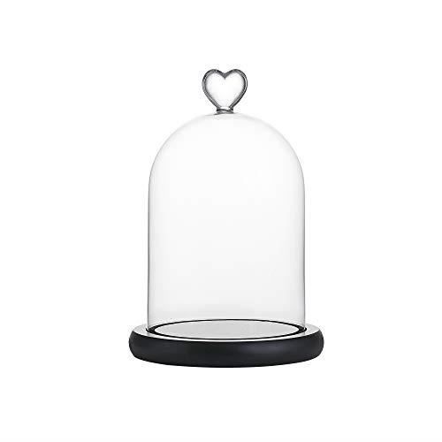 WHOLE HOUSEWARES Cloche Décorative Verre Clair 14,5cmDx16,5cmH, Base MDF Noir, Table, Dôme, Couleur Claire, 6,5\