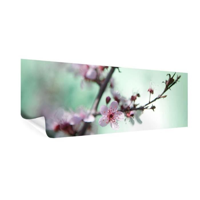 Poster Panoramique Belles Fleurs De Cerisier Japonais 150 X