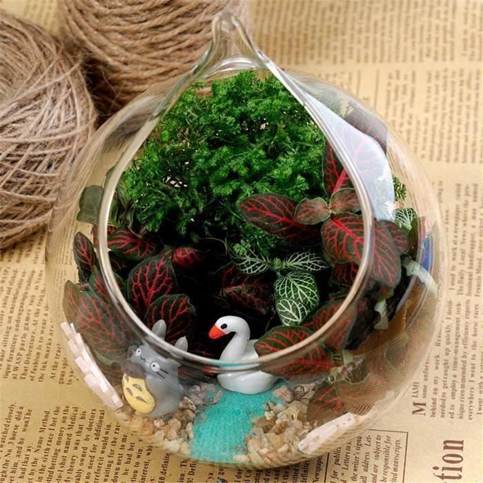 3 Vases Suspendus En Verre Transparent En Forme D'Ampoule - Pour Plantes Aériennes, Succulentes, Décoration Intérieure - 3