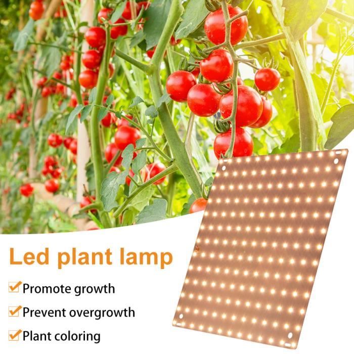 Lampe de Plante, 4000K LED Horticole Lampe Floraison Lampe de Croissance, Lampe de Culture avec 81 LEDs pour Plante Croissance