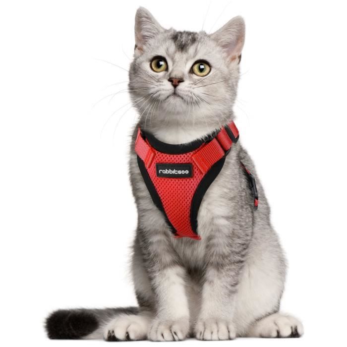 Harnais Chat Taille S Cdiscount Harnais Chat Taille S Cdiscount