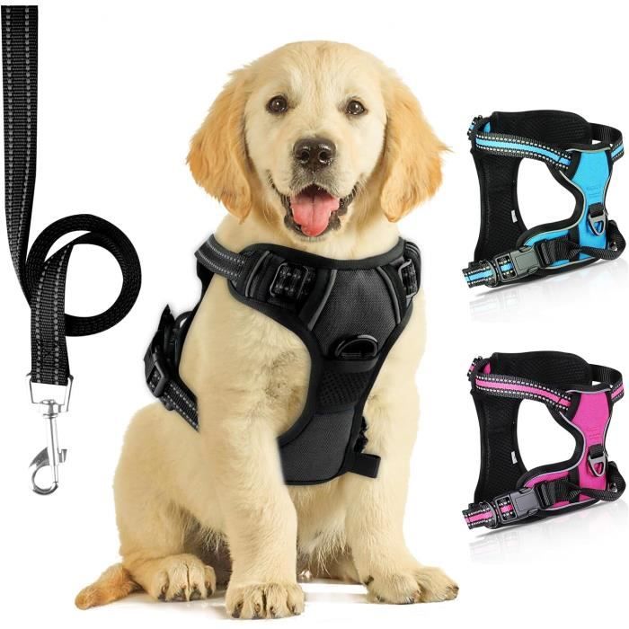 📢📢50 % DE RÉDUCTION !! ⏰Harnais anti-traction pour chien avec laisse et collier à LED