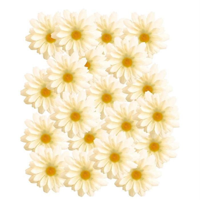 Boite de 20 marguerites années 60 / hippie