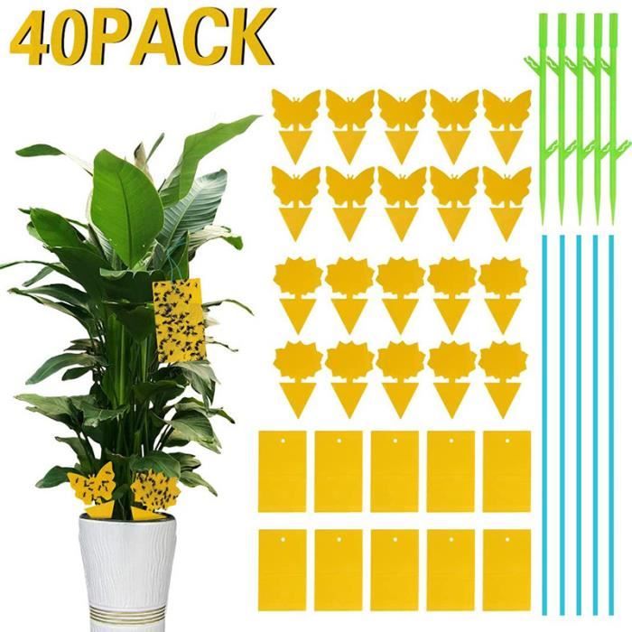 Piège à Mouches Autocollant Pour Fenêtre - Design Floral Décoratif - Non Toxique, Inodore - Intérieur Et Extérieur
