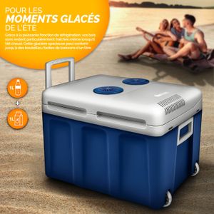 Glacière électrique Halfords 40 Litres - Roues Et Poignée, Secteur 230V Et 12V Voiture - Neuf