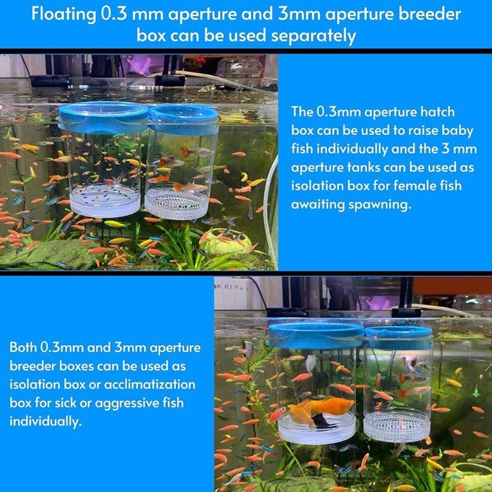 Bac Reproduction Aquarium En Acrylique - Nurserie Pour Alevins, œufs, Séparation Poissons - Avec Ventouses