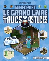 404 Editions - Minecraft - Le grand livre des trucs et astuces - Spécial Survie - Guide de jeux vidéo - Dès 8 ans - Pile 278x226