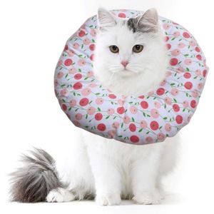 Collerette Pour Chat Cdiscount