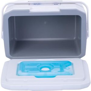 SAC ISOTHERME Beesuya Mini réfrigérateur de voiture 6 litres - Réfrigérateur de voiture portable pour véhicule, camping, glacière [23]