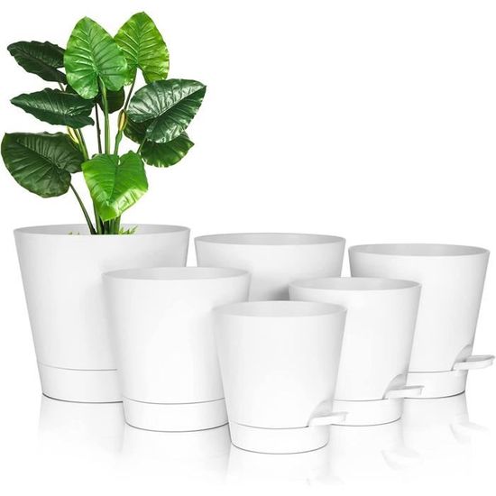Pots Transparents Avec Trous De Drainage – Pour Orchidées, Plantes Grasses Et Suivi Des Racines (lot De 1, 10x8 Cm, Blanc)