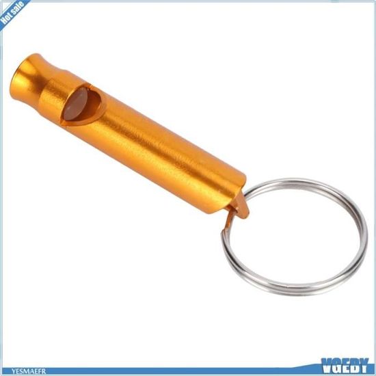 EJ.life Échelle à Coulisse Échelle Télescopique En Alliage D'aluminium De 5 M, échelle D