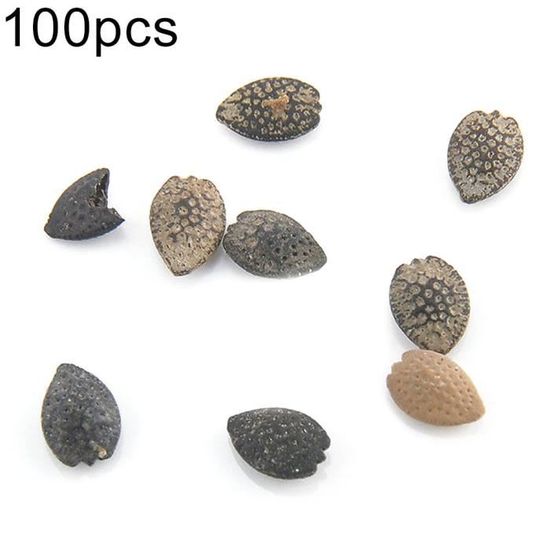 100pcs graines de fruit de la passion Cdiscount Jardin