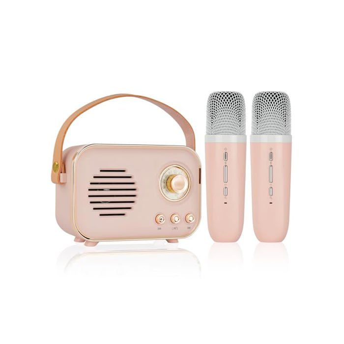 Micro Karaoke Enfant Sans Fil Avec 2 Micro - Enceinte Karaoke
