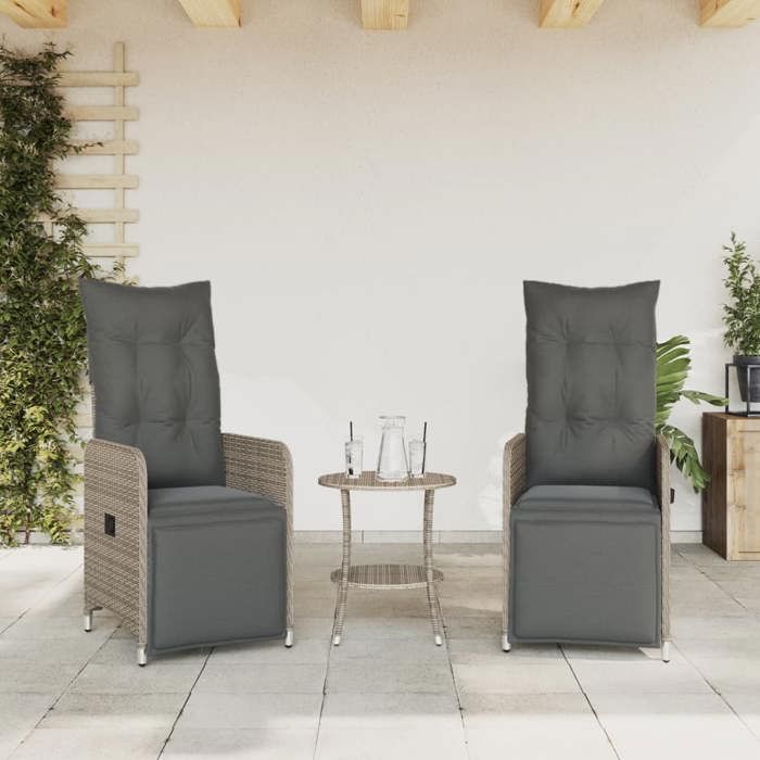 Gris Siège de jardin - Chaises inclinables de jardin - (2 pcs) - et table résine tressée C1937