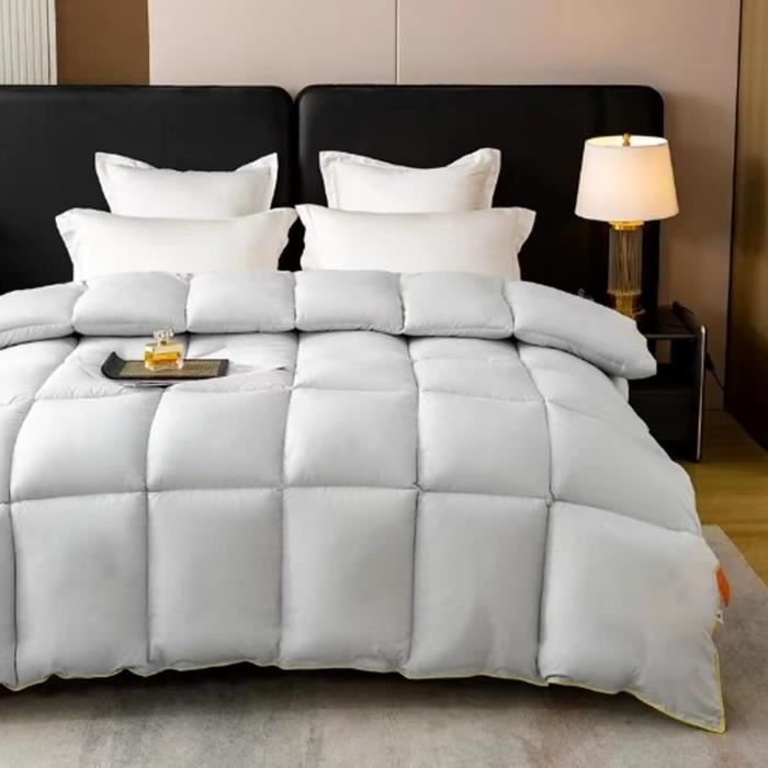 Couette Épaisse Double Face Peluche Cachemire 220x240 Cm Bleu – Chaleur Moelleuse Hiver 3 Kg