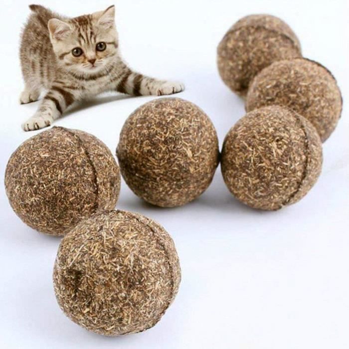 5 Pcs Chat Naturel Balles A Herbe A Chat Friandises Boule Jouets Funny Boule Activite Amusante Play Jouet Interactif Pour Chat Chato Achat Vente Jouet 5 Pcs Chat Naturel Balles A Cdiscount 5 Pcs Chat Naturel Balles A Herbe A Chat Friandises Boule Jouets Funny Boule Activite Amusante Play Jouet Interactif Pour Chat Chato Achat Vente Jouet 5 Pcs Chat Naturel Balles A Cdiscount