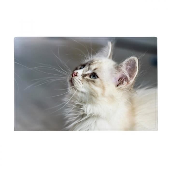 White Chat Animal Mignon Profil Tapis Tapis Antiderapant Toilettes Salon Cuisine 16 X30 Cdiscount Maison