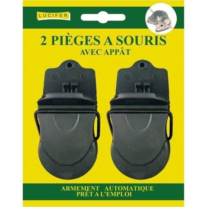 Carte de 2 pièges souris appâtés