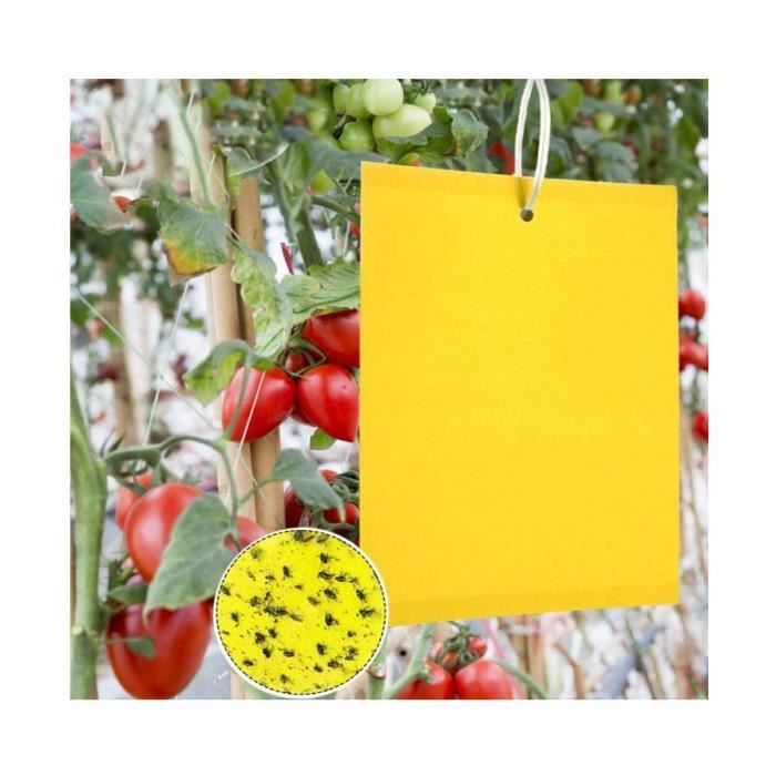 48pcs 4 Formes Pièges à Insectes, Pièges Anti-Mouches Anti Moucherons