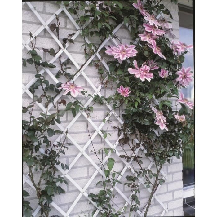 Treillis extensible plastique blanc - 100x200cm